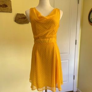 Forever 21 Cowl neck spring time polka dot dress